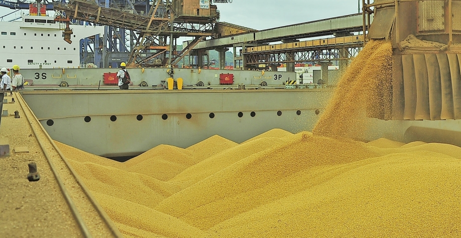 Navio Soja.jpg