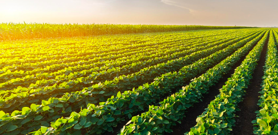 Captura de Tela 2019-05-23 às 15.58.21.png