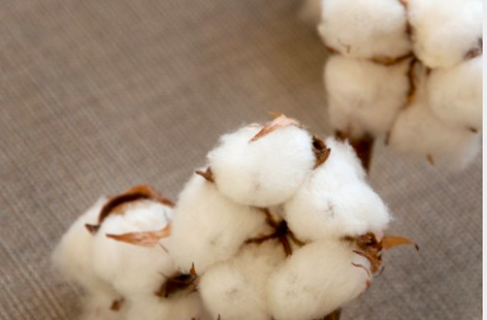 Captura de Tela 2018-12-28 às 00.47.38.png